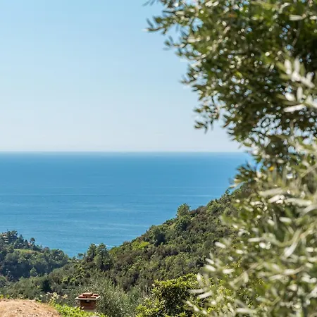 Vernazza Guest House Holiday home Vernazza